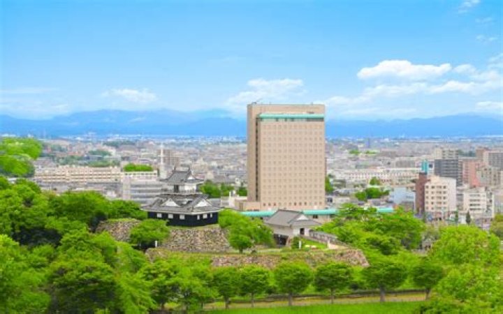 祭大王浜松とは？浜松で注目される“祭”の背景を取材する